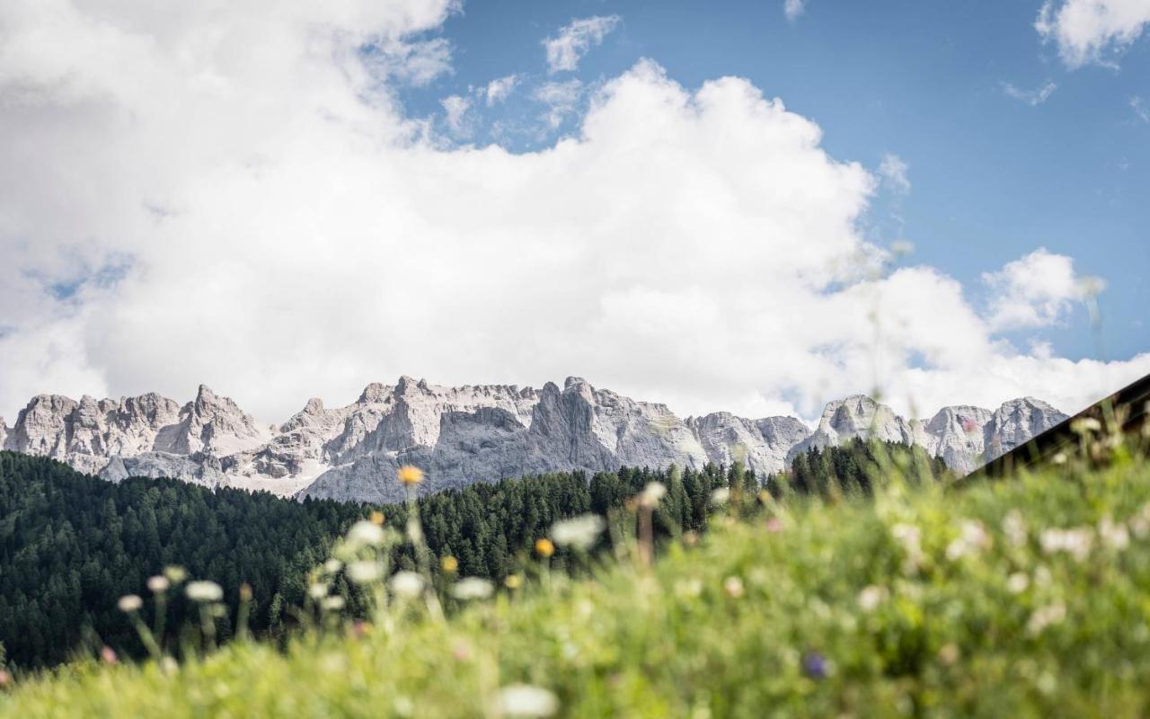 Cadepunt The Dolomites Lodge Σέλβα ντι Βαλ Γκαρντένα Εξωτερικό φωτογραφία