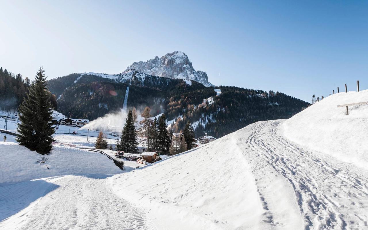 Cadepunt The Dolomites Lodge Σέλβα ντι Βαλ Γκαρντένα Εξωτερικό φωτογραφία